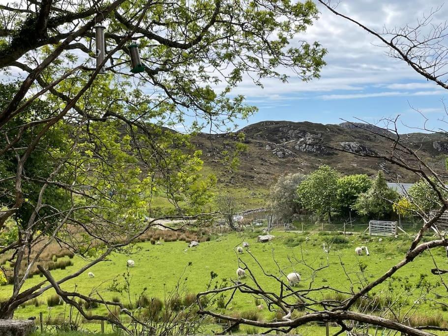 Beautiful Cottage In A Wonderful Highland Setting Drumbeg エクステリア 写真